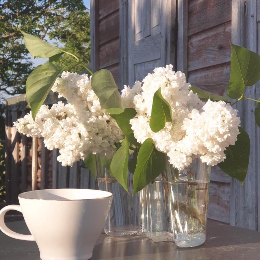 Ronehamn Bed And Breakfast Hemse Luaran gambar