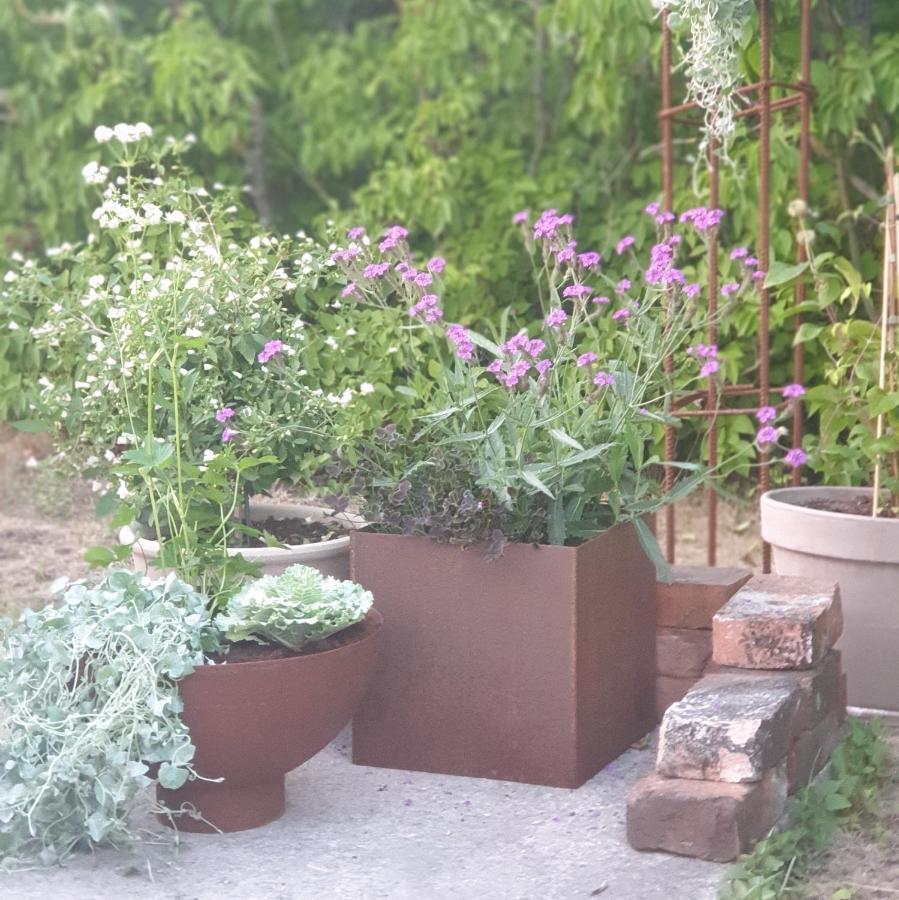 Ronehamn Bed And Breakfast Hemse Luaran gambar