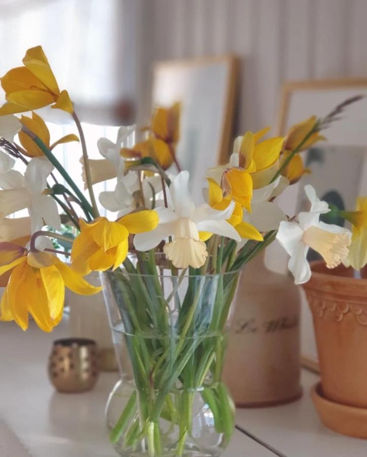 Ronehamn Bed And Breakfast Hemse Luaran gambar