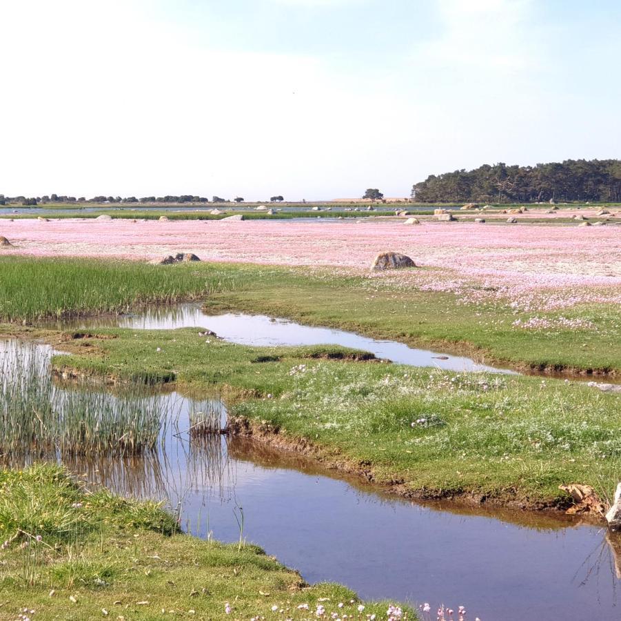 Ronehamn Bed And Breakfast Hemse Luaran gambar